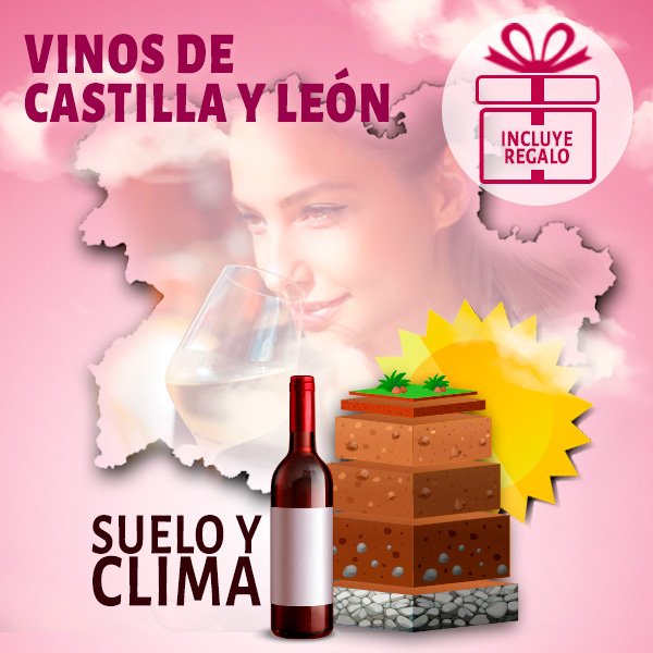 Vinos-de-Castilla-y-Leon