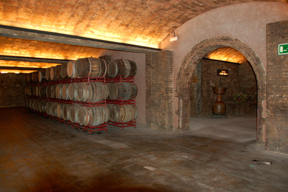 vinos de castilla