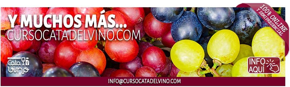 guía de uvas para vino